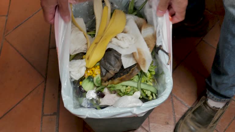 Best Dumpster Rental Services  in Smithville Sanders, IN